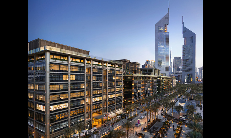 Dubai Business Licence: How to Calculate Company Setup Costs